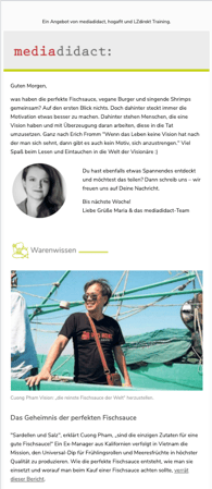 Beispiel Newsletter-Design als Social Media