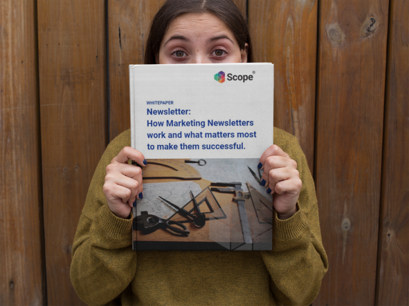 Whitepaper Newsletter Marketing -> download here!