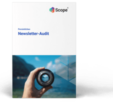 Newsletter-Audit