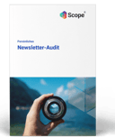 Mockup_Newsletter-Audit_gerade_kk2