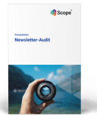 Newsletter Audit