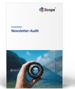 Newsletter-Audit