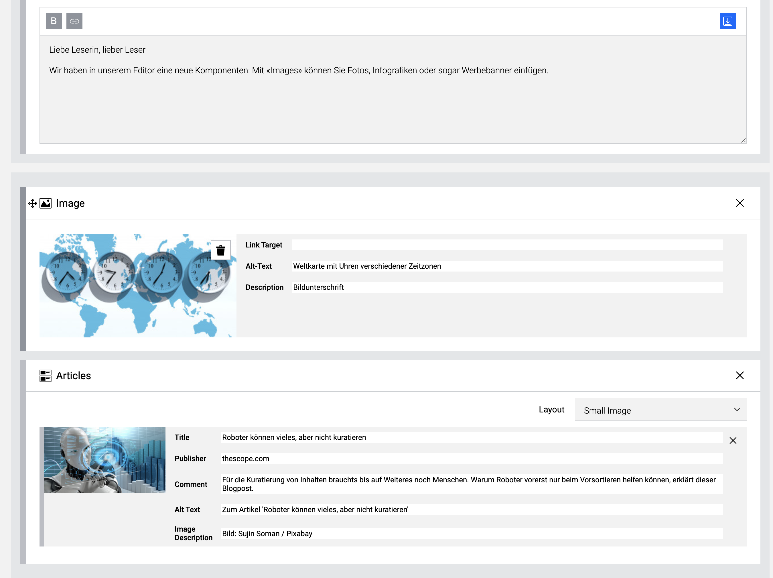 Screenshot: Eingabemaske für Alternativtext und Bildbeschreibung